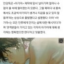 연필로 명상하기 스튜디오, 신작 '아가미' 제작...2023년 개봉 예정 이미지