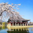 새미래 네오피아 빌딩 | 서울 가볼만한곳 베스트10 리얼후기