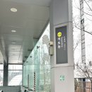 덤치킨 | [개포동] 강남닭강정 숨은 치킨 맛집 구구치킨개포점, 마늘간장맛 포장후기