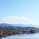 충렬로가로수 네이버블로그