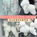 추건우애견미용학원 네이버블로그
