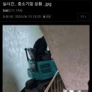 진니