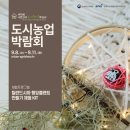 마크라메 플랜트 행잉 DIY 이미지