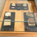 백만약국 | 푸켓 4박6일 | 3일차(1) (푸켓카페,캠퍼스커피,크로스핏드랍인,백만구타이누들,sixory coffee)