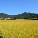 하송경로당 이미지