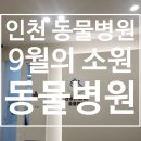 소원동물병원 이미지