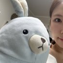 해피벌스데이네일 | 야도킹 카드 자만추. 근데 아트 엄청 귀여운.