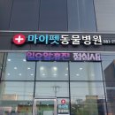 대전우리동물의료센터 | 대전 중구 동물병원 방문자 리뷰 인기순위 TOP 5
