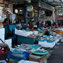 서구시장 | [2025 서구 SNS 서포터즈]부산서구시장투어 충무동 새벽시장이랑 해안시장 다녀온 후기