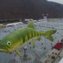 화천산천어가공 이미지