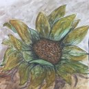 깜헤어샵 이미지