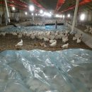 노력농장 이미지