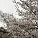 덕풍천서로 네이버블로그