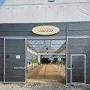 상궁농장 | 포항 아무르망고 실내놀이터 아이와 바나나크레페 만들기 농장체험 후기