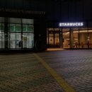 마시차이나 이미지