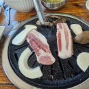 갤러리노래바