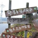 초록이둥지협동조합 이미지