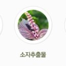 비오프로젝트 이미지