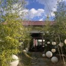 보산원2길 | [천안] 조용하고 한적한 식물원 감성 카페 &#39;화진담&#39;