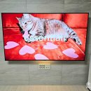 씨유 영종푸르지오자이점 | [영종센트럴푸르지오자이] 무타공벽걸이TV 설치! 셋톱 숨김, 선 정리, 게임기 설치 완벽 시공!