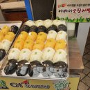 속초관광수산시장(구 속초중앙전통시장) 이미지