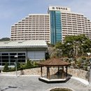 대명여행사 이미지