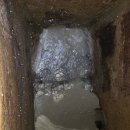 봉곡동350 | 창원 팔용동 하수구 막힘 역류 완벽 해결! 2층 물 쓰면 1층 쏟아지는 기름 찌꺼기 제거 사례