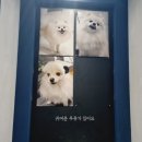 코노코노동전노래연습장 이미지