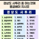 토배기