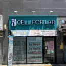 크리스탈스탠드 | 울산 다이어트 독소배출 시원하게 빼내고 온 셀포랩 크리스탈점 후기
