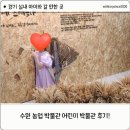 이마트24가수원하나점 | 경기 실내 아이와 갈만한 곳! 수원 국립농업박물관 어린이박물관 관람 후기,예약정보!