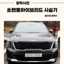 대화로 50번길 이미지