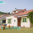 노닐다민박 이미지