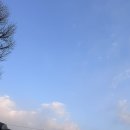 골목아구찜 | [서울/종로3가] 원조마산아구찜 종로본점_종로 낙원동 아구찜 골목 맛집 내돈내먹 후기!