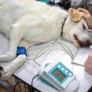 울진동물병원 이미지