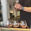 MANN | 인생 오렌지 와인 추천, Domaine MANN Fusion Pelliculaire 시음 후기