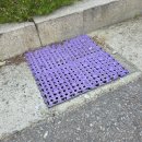 푸른스틸 이미지