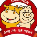 가야촌 네이버블로그