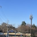 상상목장 | 남해 상상양떼목장 방문 솔직후기