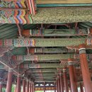 카 - 이순신공원- 통영 국제음악당 -전혁림미술관- 통영 삼도수군통제영, 세병관-벅수 다찌- 거북당 꿀빵