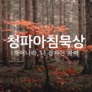 엘닷