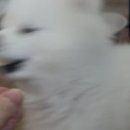 어울농장 이미지