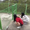 통영 욕지도 하늘정원 별채 방문했던 솔직후기~