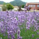 고성농장 이미지