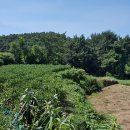 남해-230 이미지