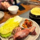 통굴통굴 이미지