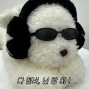MEGII’s 우당탕당 1월2주
