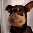 소바안경 이미지