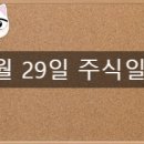 아이엠로니 이미지