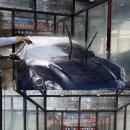 폼생폼카셀프세차타운 이미지